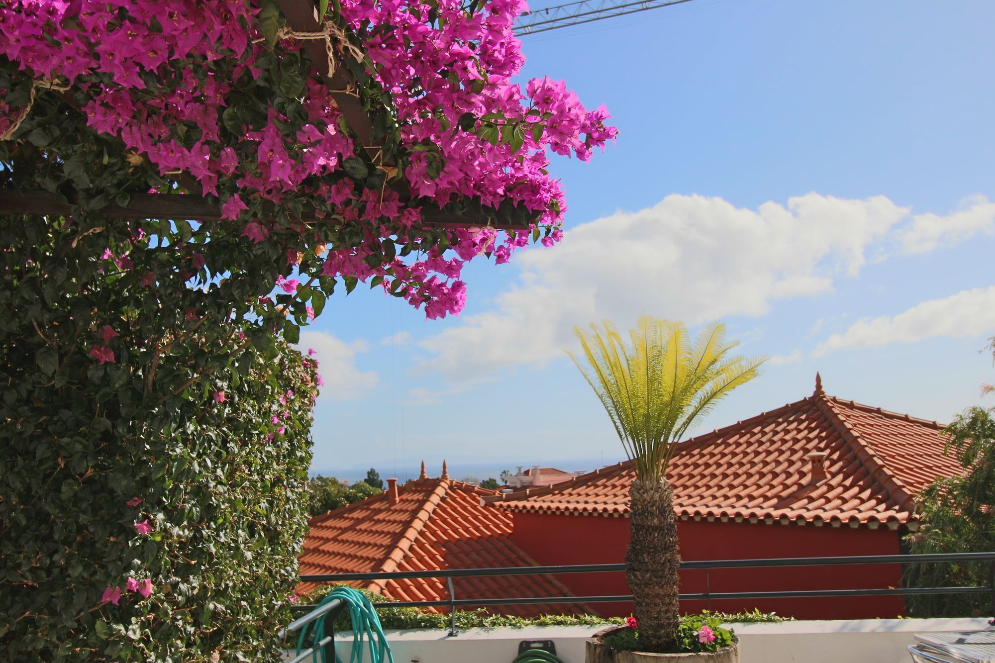 Guesthouse Vila Lusitania Фуншал Екстериор снимка